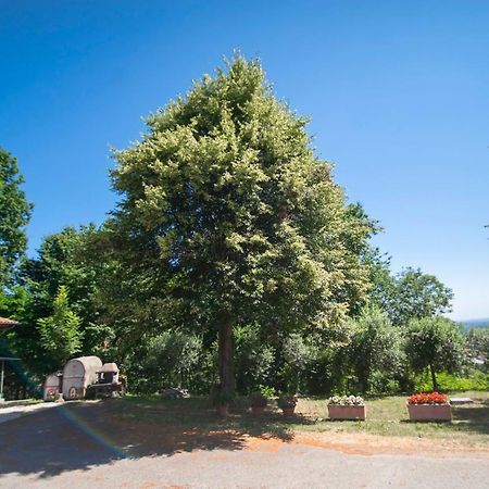 Agriturismo Turina Bricherasio Exterior foto