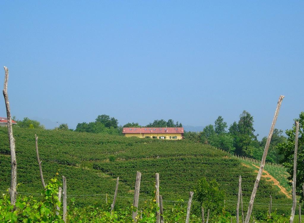 Agriturismo Turina Bricherasio Exterior foto